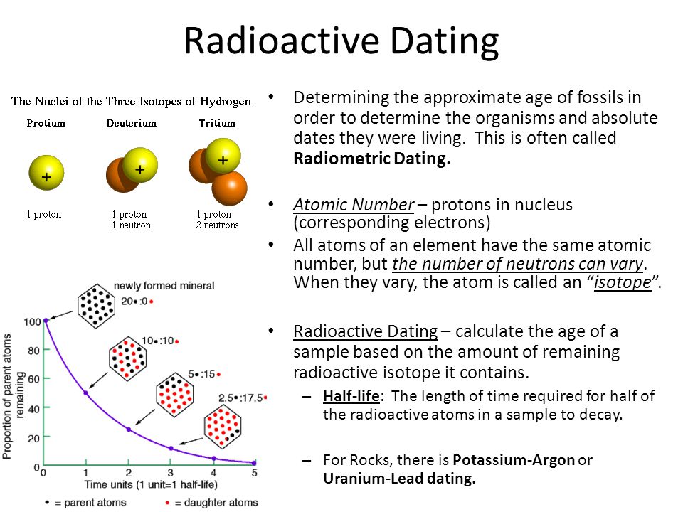 radiometric dating calculator uranium